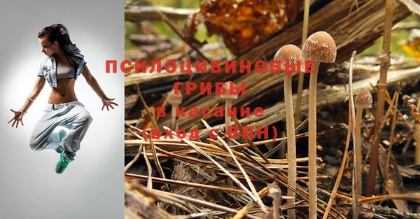 MESCALINE Осинники