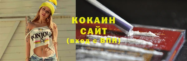 ешки Аркадак