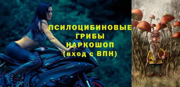 ешки Аркадак