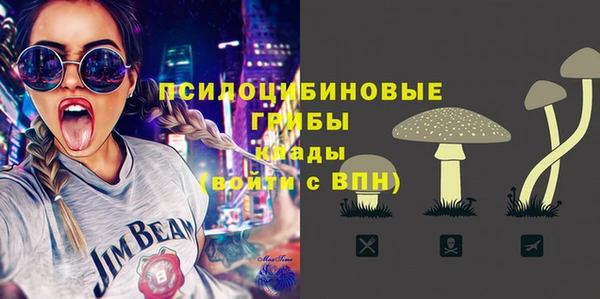 MESCALINE Осинники